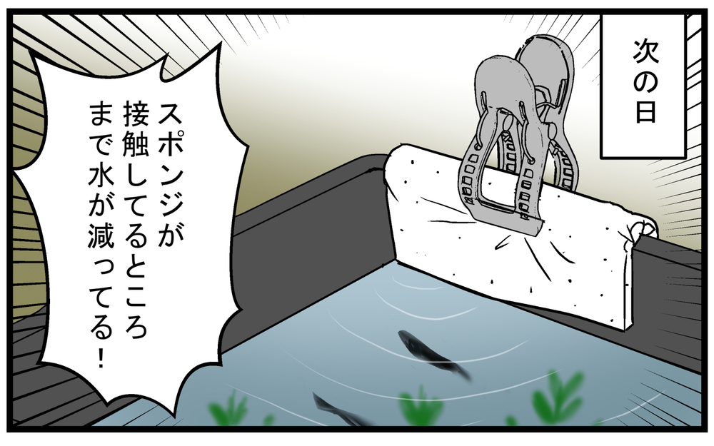 外でメダカや金魚を飼っている人、必見！ 「ビオトープ」の水を身近なもので簡単に減らす方法【こどもと見つけた小さな発見日誌 Vol.72】