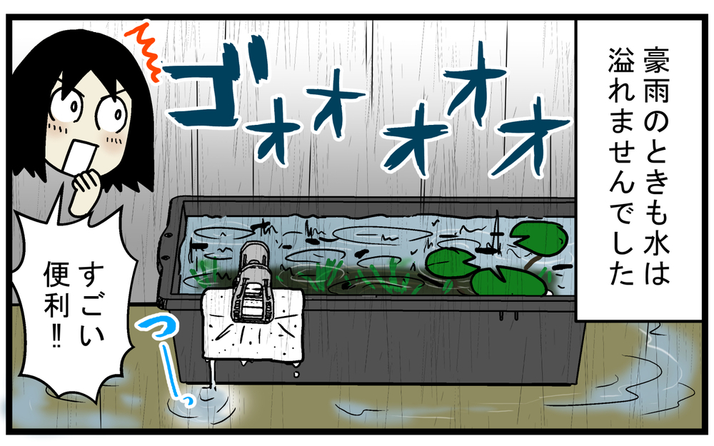 外でメダカや金魚を飼っている人、必見！ 「ビオトープ」の水を身近なもので簡単に減らす方法【こどもと見つけた小さな発見日誌 Vol.72】