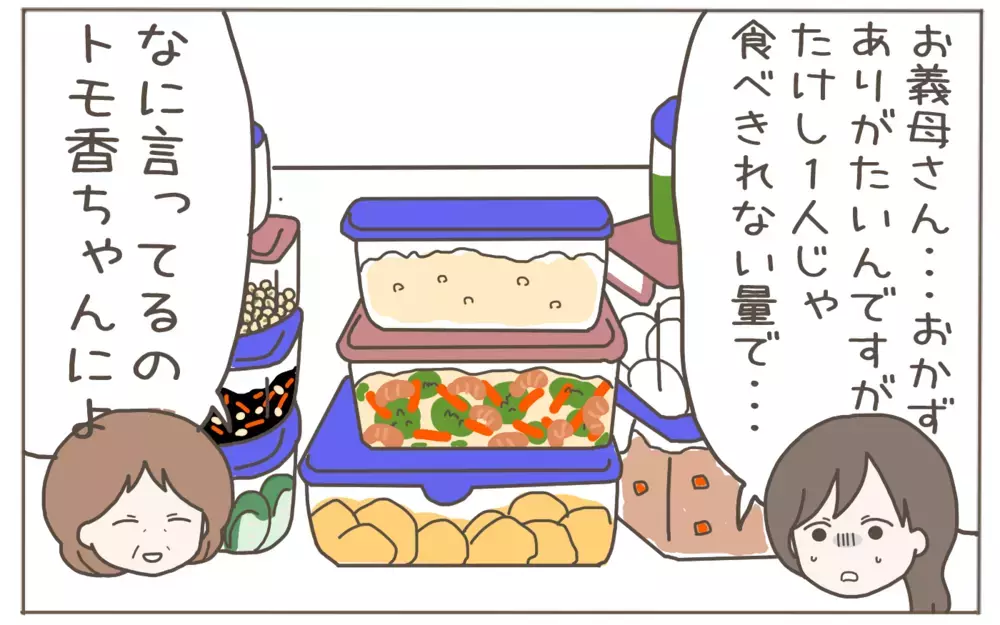 つわりで苦しむ嫁に大量の作り置きを持参…義母の過干渉に限界アラート！【距離感ゼロの義母 Vol.3】