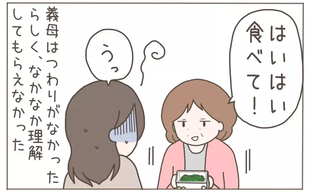 つわりで苦しむ嫁に大量の作り置きを持参…義母の過干渉に限界アラート！【距離感ゼロの義母 Vol.3】