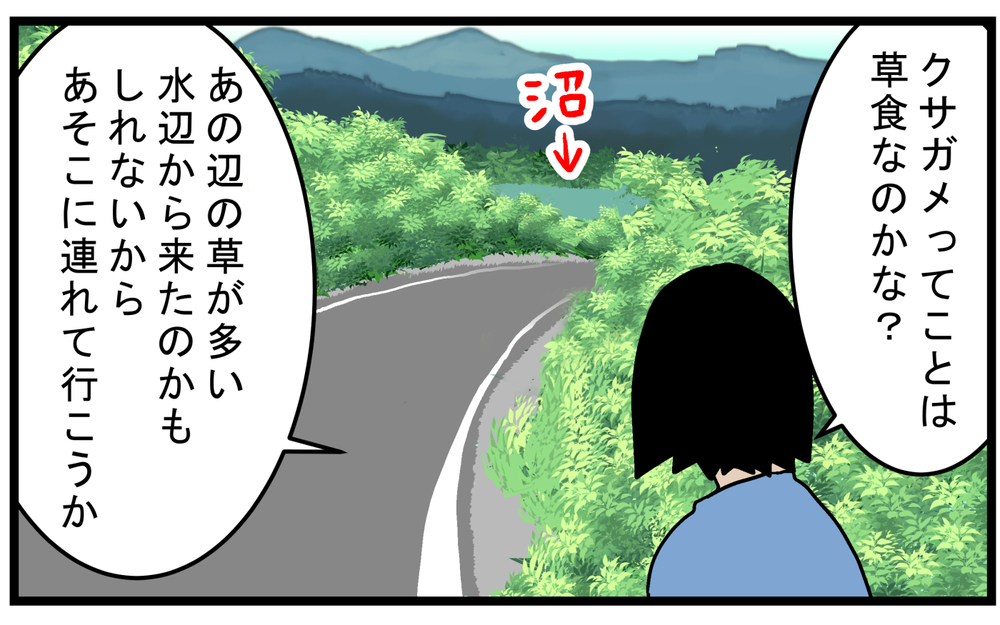 クサガメの名前の由来に驚愕！ 車道を歩く「カメ」を保護して運んだが…!?【こどもと見つけた小さな発見日誌 Vol.74】
