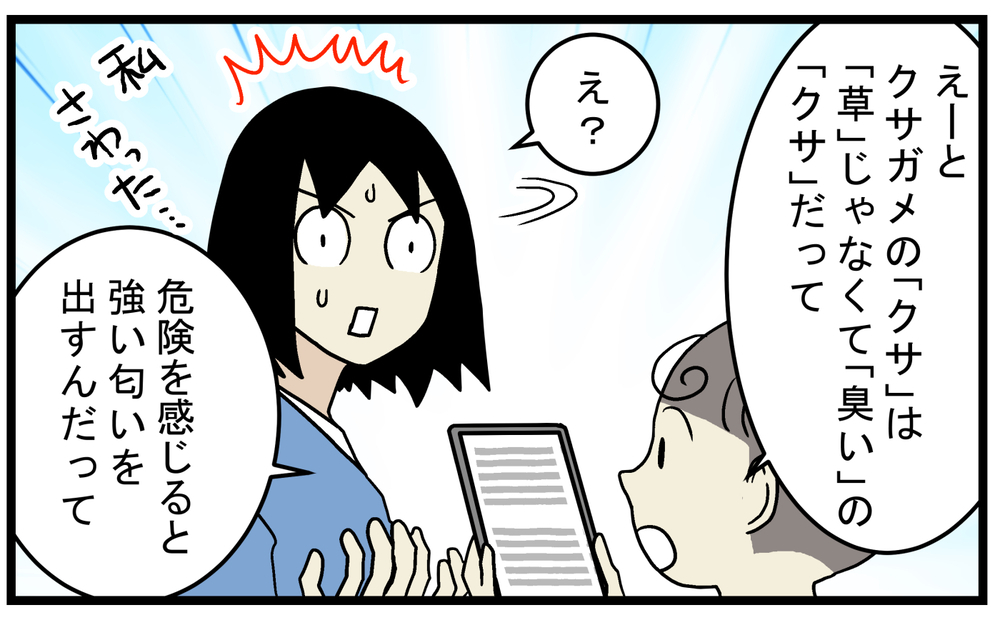 クサガメの名前の由来に驚愕！ 車道を歩く「カメ」を保護して運んだが…!?【こどもと見つけた小さな発見日誌 Vol.74】