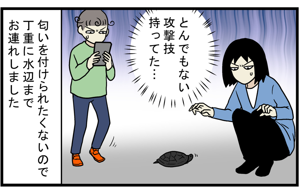 クサガメの名前の由来に驚愕！ 車道を歩く「カメ」を保護して運んだが…!?【こどもと見つけた小さな発見日誌 Vol.74】