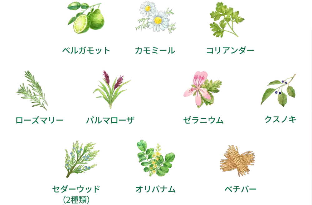 「7秒美容」で肌も心も満たされる！？  「room S（ルームエス）」 のスキンケアを試してみた【編集部がリアルに体験！ Vol.4】