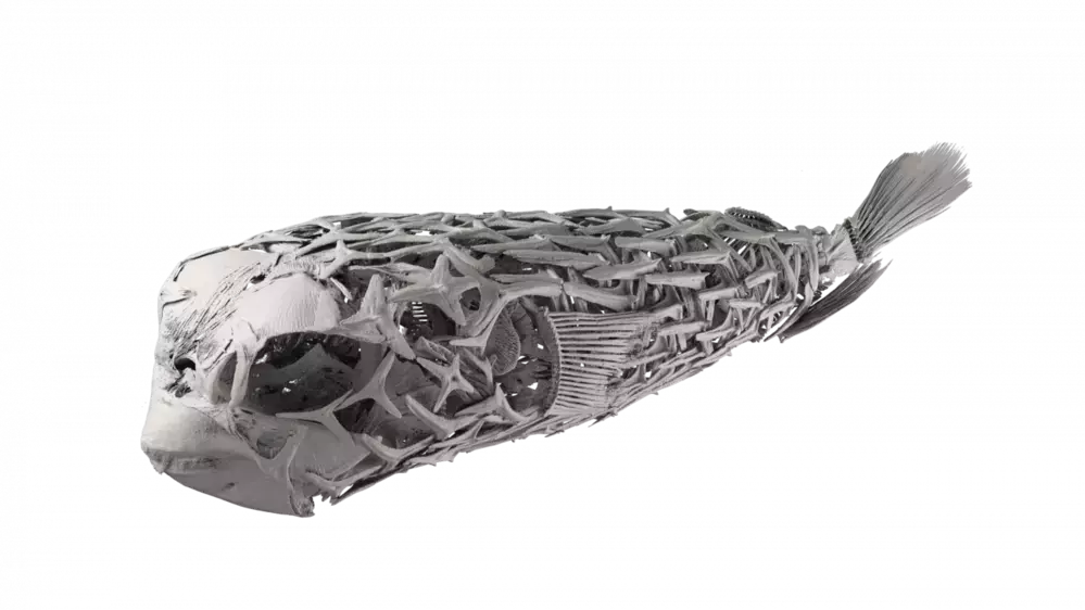 さかなクンが作ったはく製やイラストが勢ぞろい！　さかなクンと一緒に学べる「ギョギョッとサカナ★スター展」が開催！【編集部の「これ、気になる！」  Vol.80】