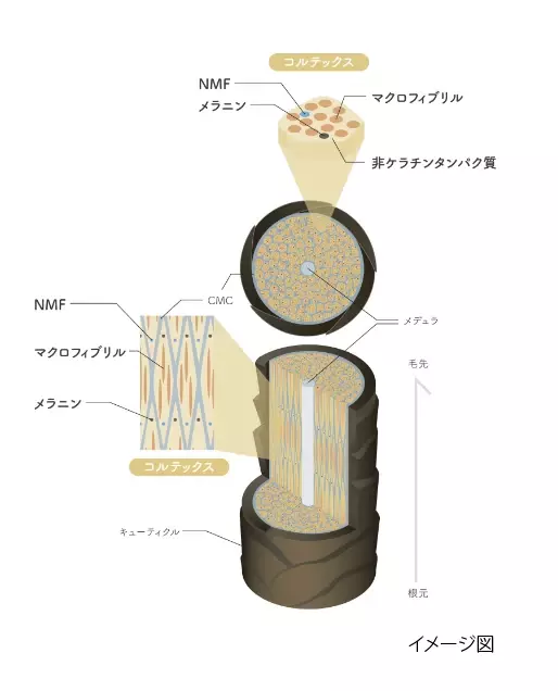 「LPLP（ルプルプ）」から大人髪の3大悩み、うねり・やせ髪・パサつきをケアするアイテムが新登場【編集部の「これ、気になる！」  Vol.84】