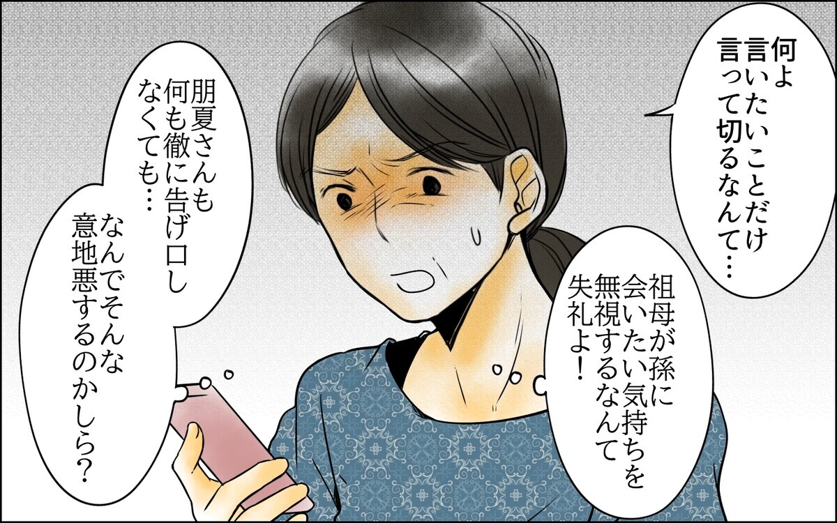 次男から怒りの電話!? すべては長男嫁の思惑通りになってる？＜長男嫁が嫌いな理由 28話＞【彼女たちの真実 まんが】