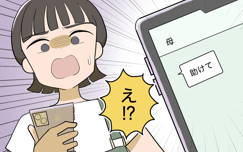 母から「助けて」とメッセージ…義妹トラブル再び!?＜義実家頼みの義妹シーズン2＞3話【まんが】