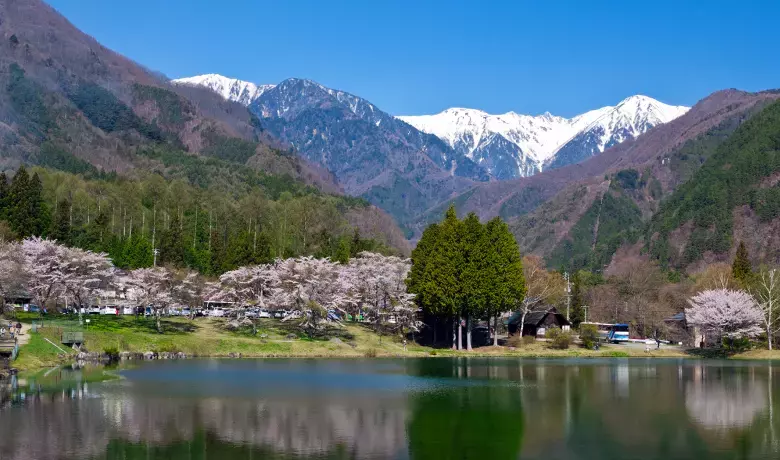 良質な大豆・米・塩のみを厳選使用。「ひかり味噌」からオーガニック味噌が新発売【編集部の「これ、気になる!」  Vol.101】
