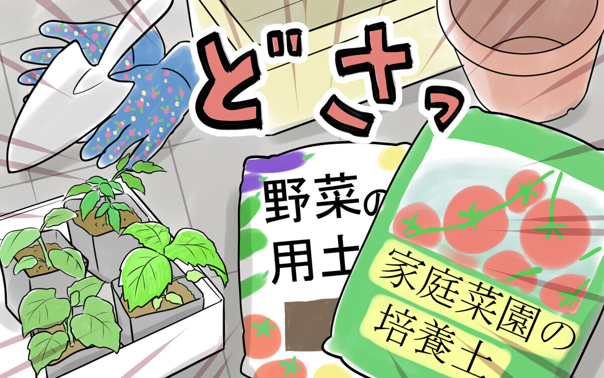 「妻は何もわかってない」節約を頑張れない妻に夫が取った驚愕の行動＜アキラの場合 2話＞【モラハラ夫図鑑 まんが】