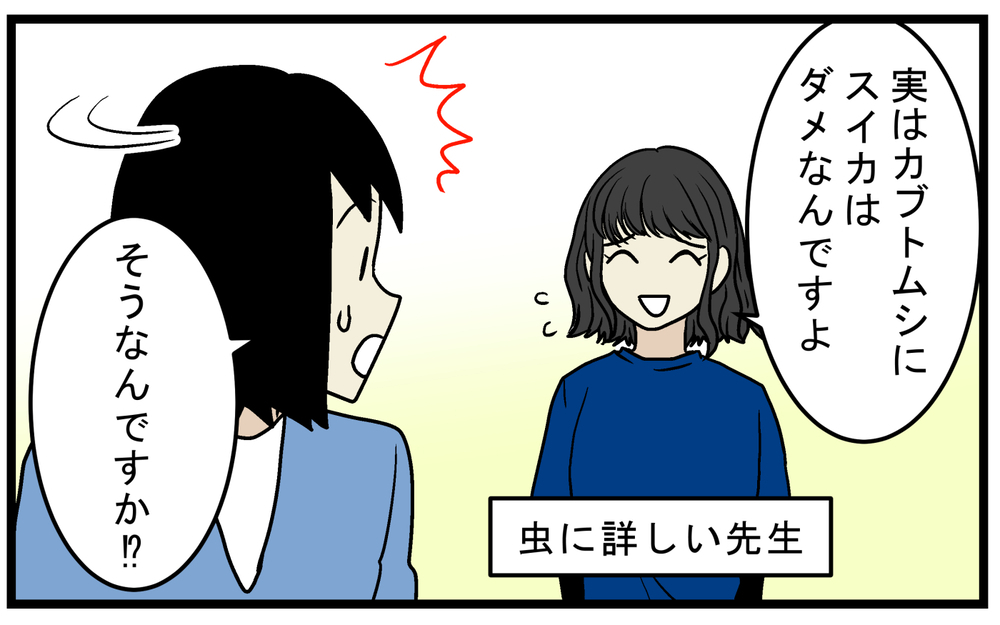 これまでのイメージが覆された！ カブトムシにあげてはいけない意外なものとは!?【こどもと見つけた小さな発見日誌 Vol.76】