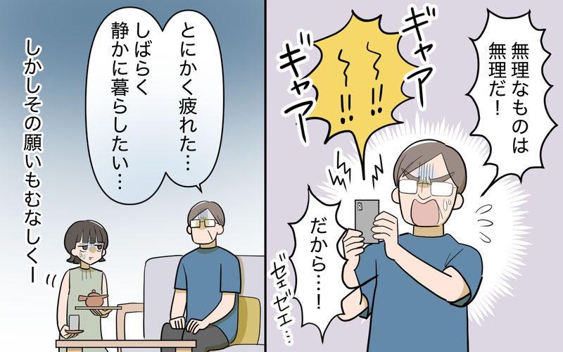 なんでお金を貸してくれないの？ 義妹の次なる作戦＜義実家頼みの義妹シーズン2＞ 19話【まんが】