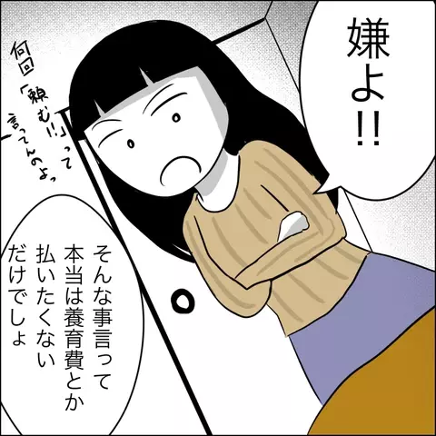 「俺たちまだセーフだろ？」裏切り相手から逃げ出してきた夫が妻に無謀なお願い【夫の相手は自己中な被害者ヅラ女 Vol.13】