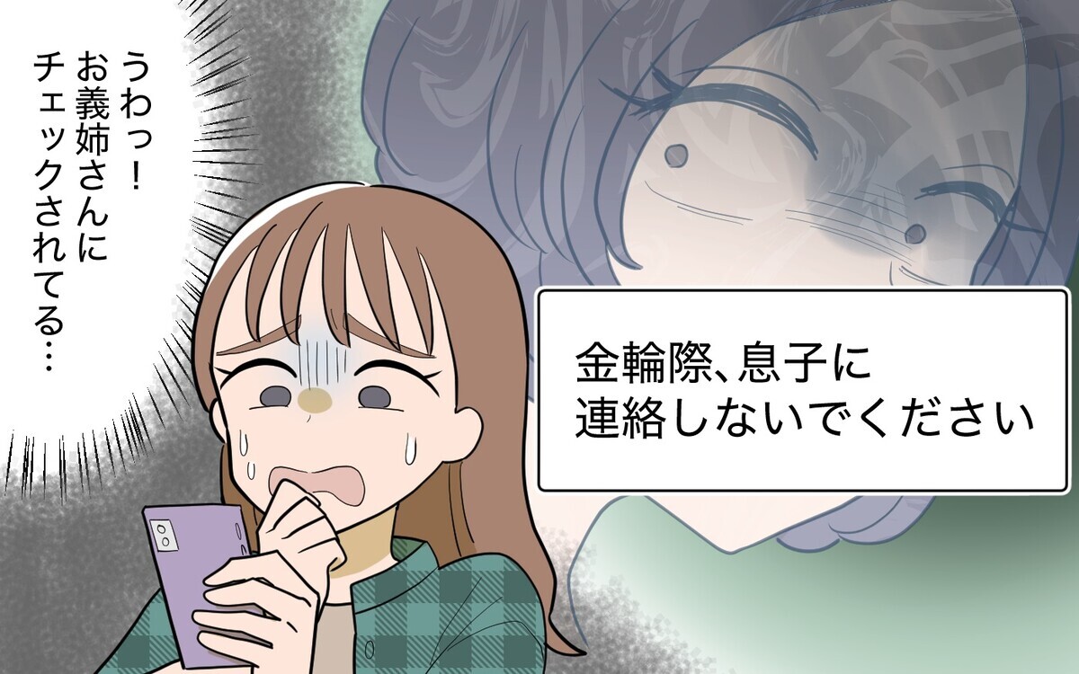 甥っ子に連絡するも返信は義姉から!? 金輪際関わるのは禁止!?＜過保護すぎる義姉 6話＞【義父母がシンドイんです！ まんが】