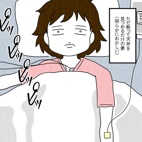 会話が成り立たない… !?　妻の現状に途方に暮れる夫【妻だって倒れます Vol.13】