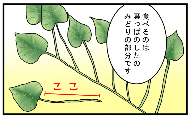 想像以上においしい！ 芋ほりでママさんから教わった「芋のつる」の食べ方【こどもと見つけた小さな発見日誌 Vol.78】