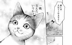 夫には哀れな子猫の演出でじわじわと…人間の心理を手玉に取る手法【猫語の教科書 Vol.4】