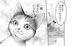 猫の可能性に限界はない！　猫ならみんな持ってる「乗っ取り本能」って？