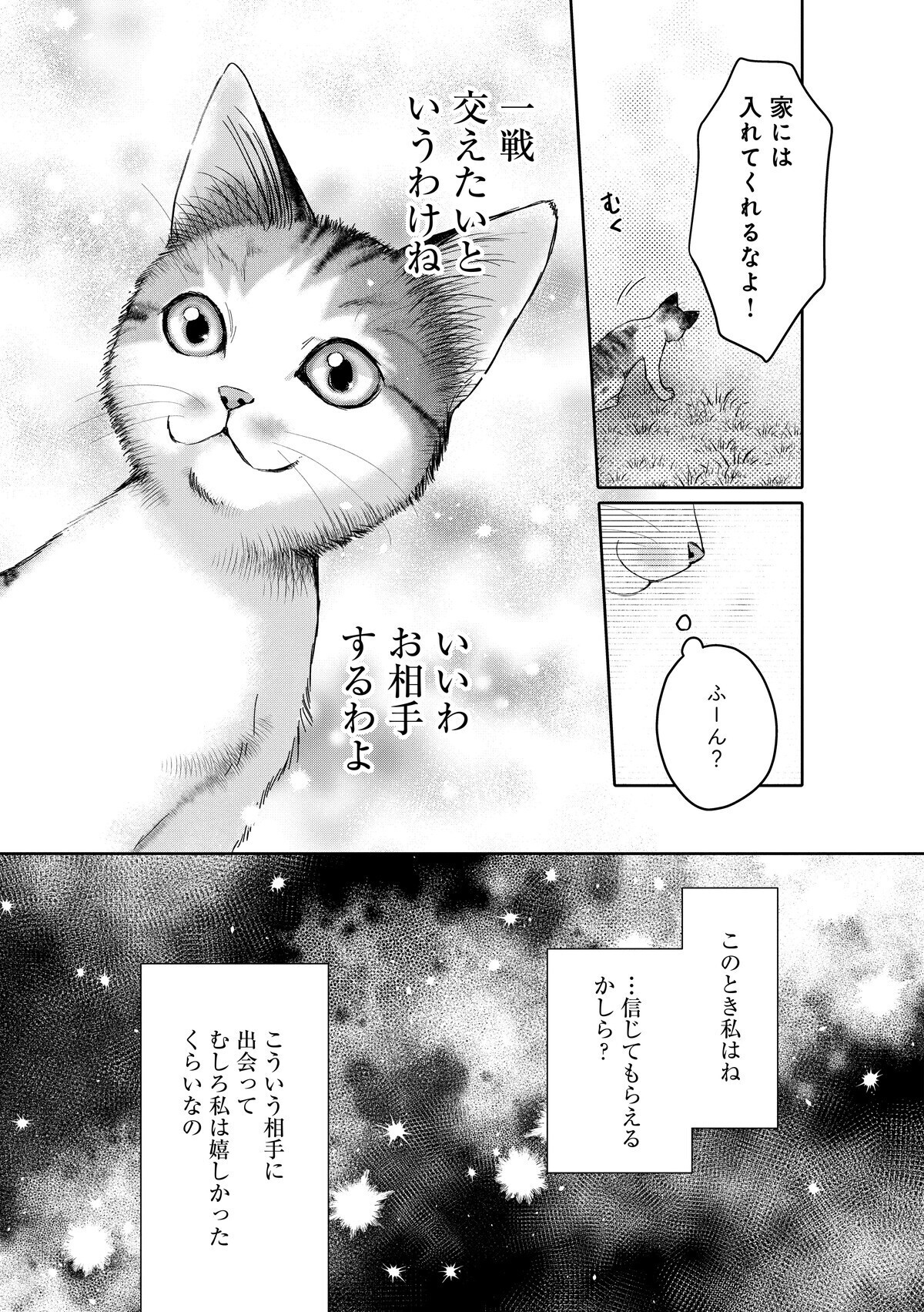 猫の可能性に限界はない！　猫ならみんな持ってる「乗っ取り本能」って？【猫語の教科書 Vol.3】