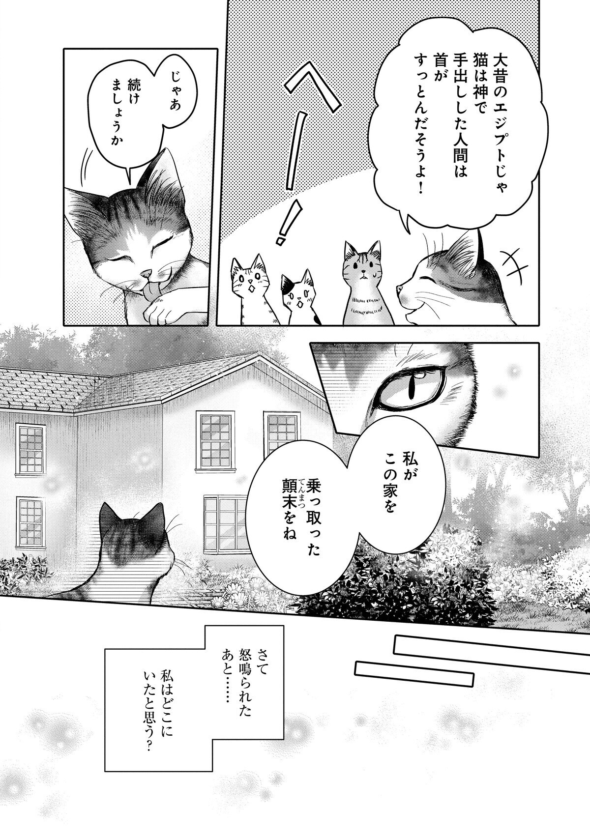 猫の可能性に限界はない！　猫ならみんな持ってる「乗っ取り本能」って？【猫語の教科書 Vol.3】