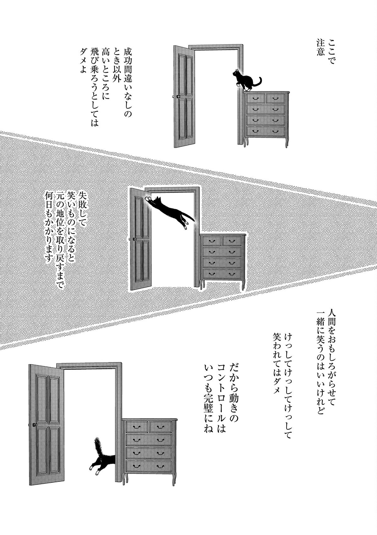 時に背景まで考慮、寝ても覚めても猫が魅惑の表情を作る理由とは？【猫語の教科書 Vol.9】