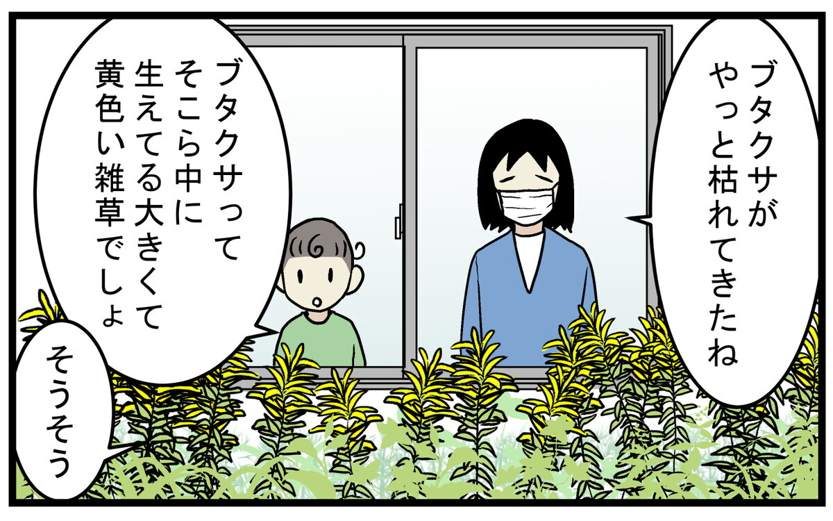 秋の花粉症のアレルゲンとして…長年憎んでいた「ブタクサ」に対する勘違い【こどもと見つけた小さな発見日誌 Vol.79】