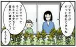 秋の花粉症のアレルゲン！ 長年悩まされ憎んでいた「ブタクサ」に対する勘違い