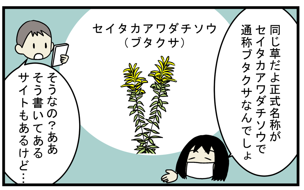 秋の花粉症のアレルゲン！ 長年悩まされ憎んでいた「ブタクサ」に対する勘違い【こどもと見つけた小さな発見日誌 Vol.79】