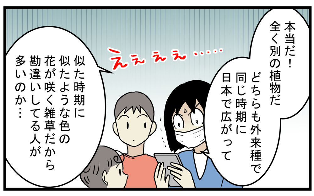 秋の花粉症のアレルゲン！ 長年悩まされ憎んでいた「ブタクサ」に対する勘違い【こどもと見つけた小さな発見日誌 Vol.79】