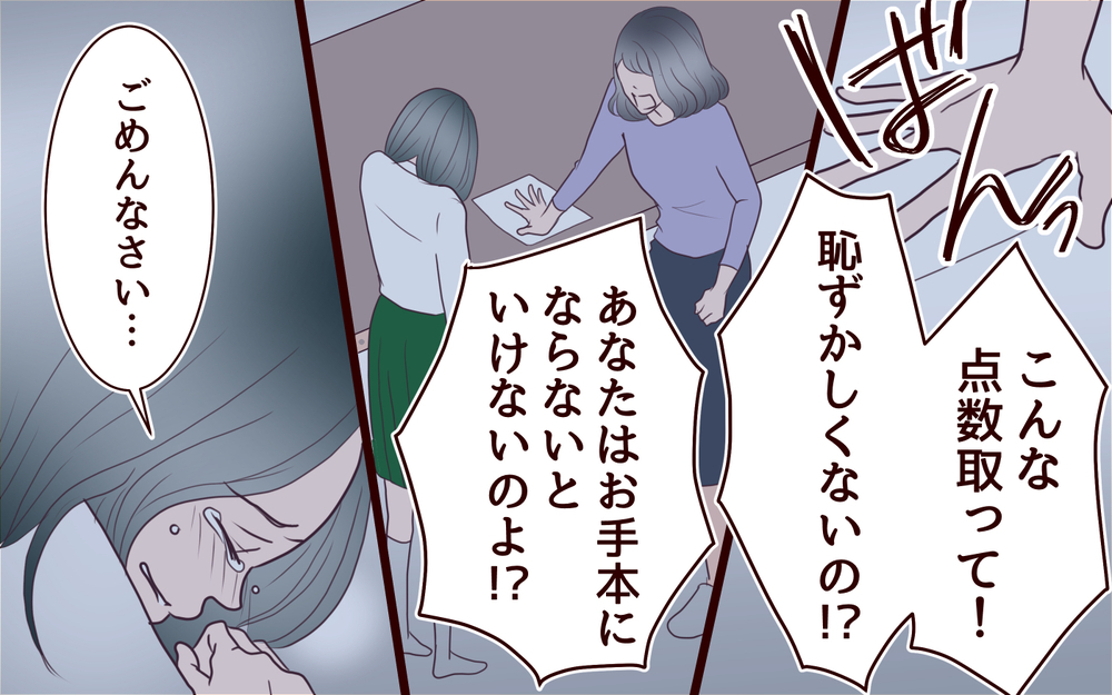 「私はこの家族が大嫌い」義姉が隠していた真実とは＜夫の家族に嫌われた理由 14話＞【夫婦のリアル まんが】