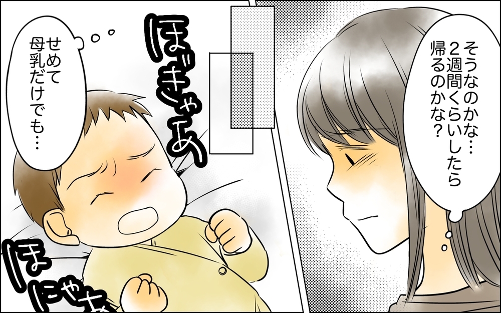 授乳もさせてくれない義母…本当に私の身体を心配してのこと？【義母に奪われた私の子 まんが 第10話】