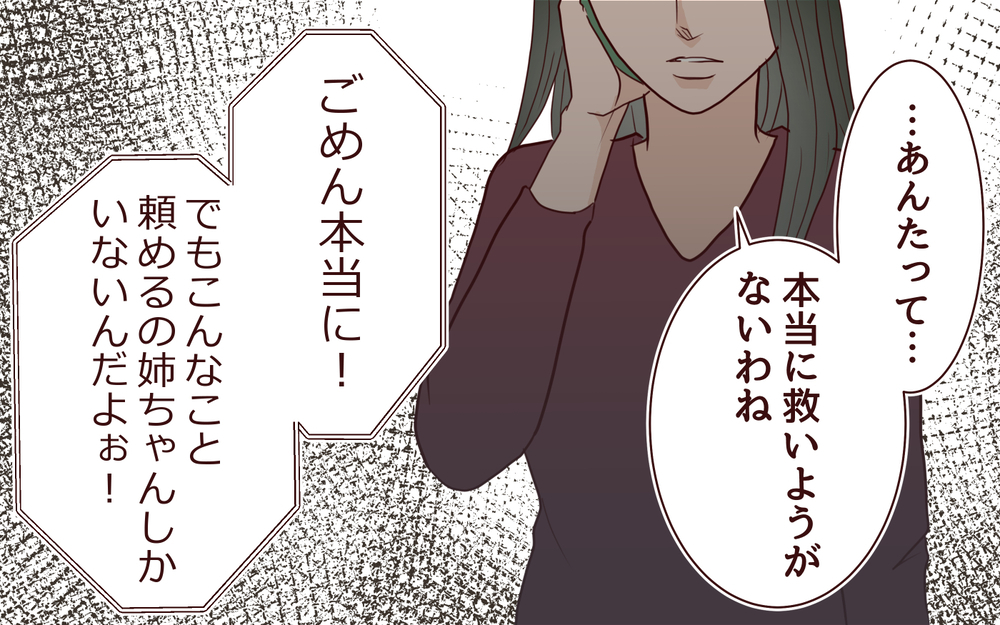 慰謝料が払えない…どこまでも甘えた男が頼った相手は？＜夫の家族に嫌われた理由 17話＞【夫婦のリアル まんが】