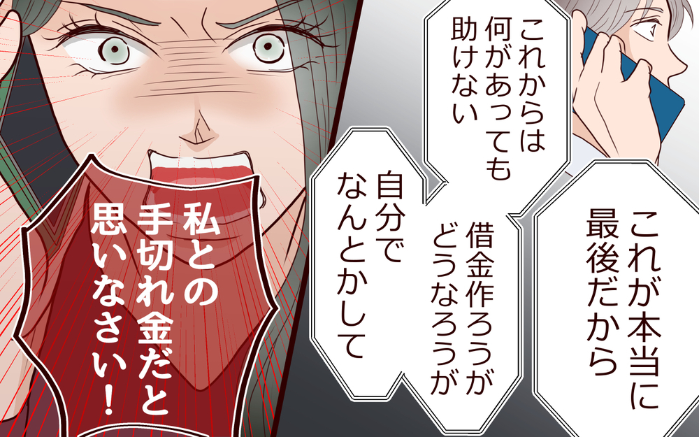 慰謝料が払えない…どこまでも甘えた男が頼った相手は？＜夫の家族に嫌われた理由 17話＞【夫婦のリアル まんが】