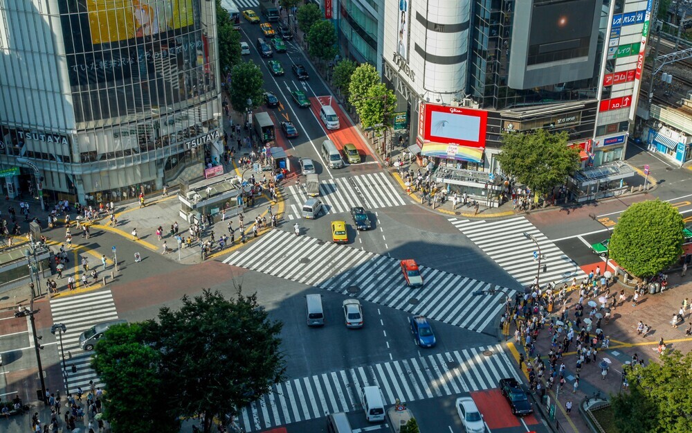 グルーバル人材育成と国際競争力の強化…世界へと繋がる「スシテック東京」とは？【細川珠生のここなら分かる政治のコト Vol.5】