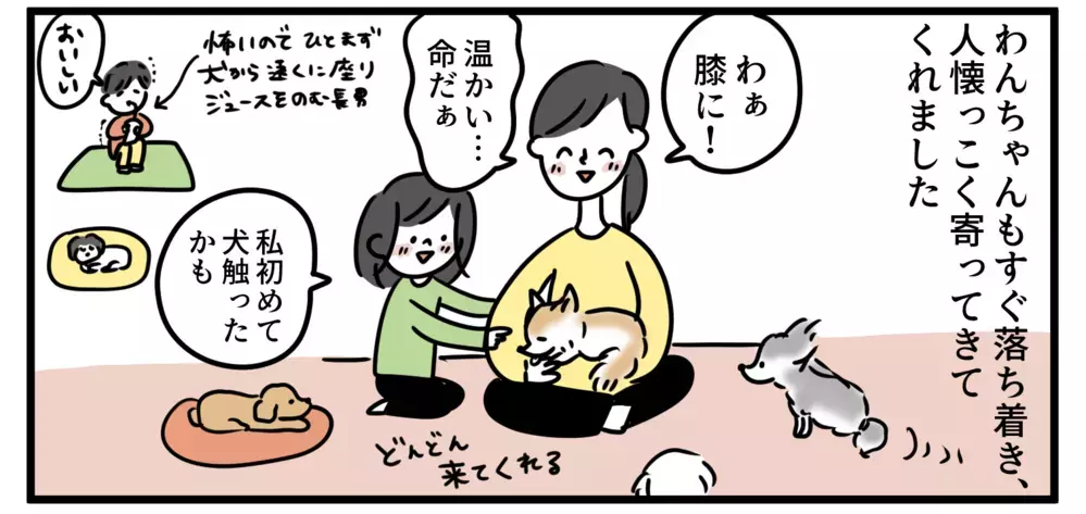 犬と触れ合ったことのない子どもたちとドッグカフェに行ってみたら発見だらけだった【特別じゃない日を特別にする方法 Vol.13】