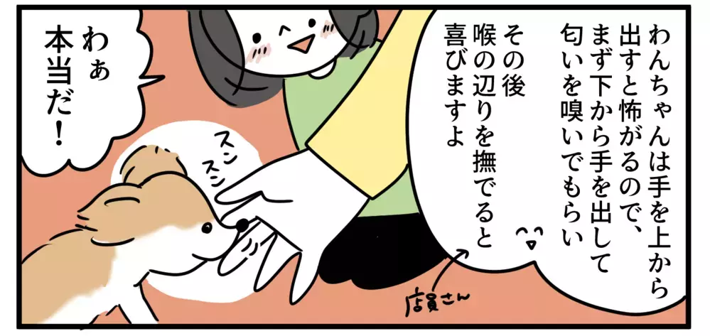 犬と触れ合ったことのない子どもたちとドッグカフェに行ってみたら発見だらけだった【特別じゃない日を特別にする方法 Vol.13】