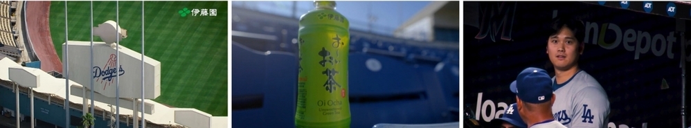 大谷選手も出場する「MLB TOKYO SERIES」観戦チケットが当たる！ 「お〜いお茶」キャンペーンがスタート【編集部の「これ、気になる！」  Vol.145】