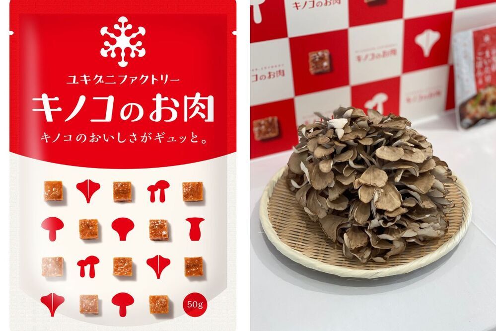 代替肉にニューフェイスが登場、その名も「キノコのお肉」！　低脂質・低糖類、食物繊維豊富な「雪国まいたけ極」から【編集部の「これ、気になる！」  Vol.165】