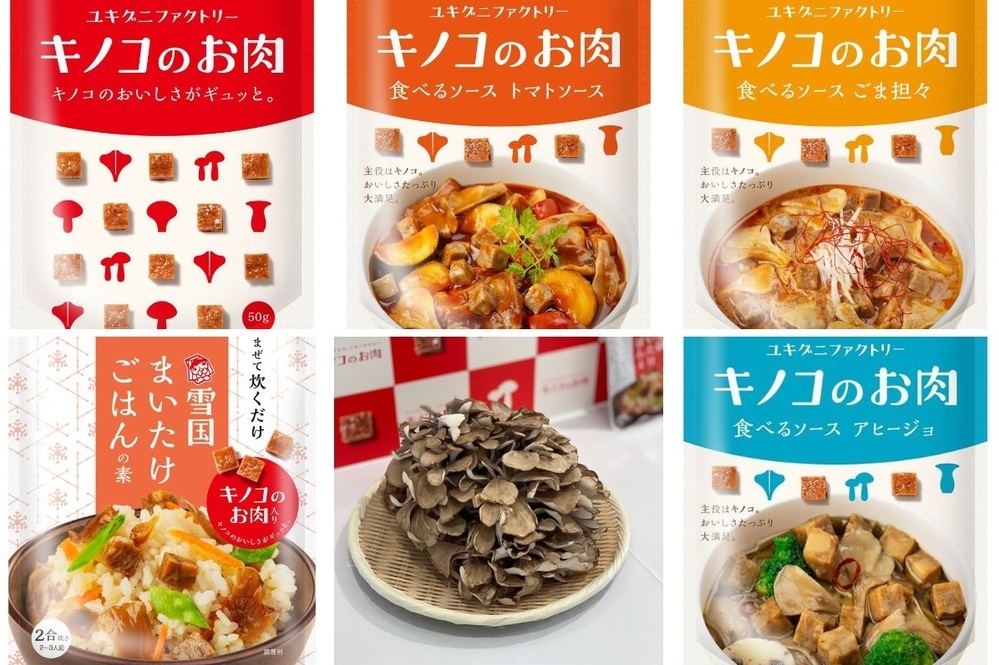 代替肉にニューフェイスが登場、その名も「キノコのお肉」！　低脂質・低糖類、食物繊維豊富な「雪国まいたけ極」から【編集部の「これ、気になる！」  Vol.165】