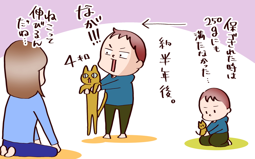 ママ見てついに！　愛猫が見せてくれた姿に放った娘の一言【良妻賢母になるまでは。 第142話】