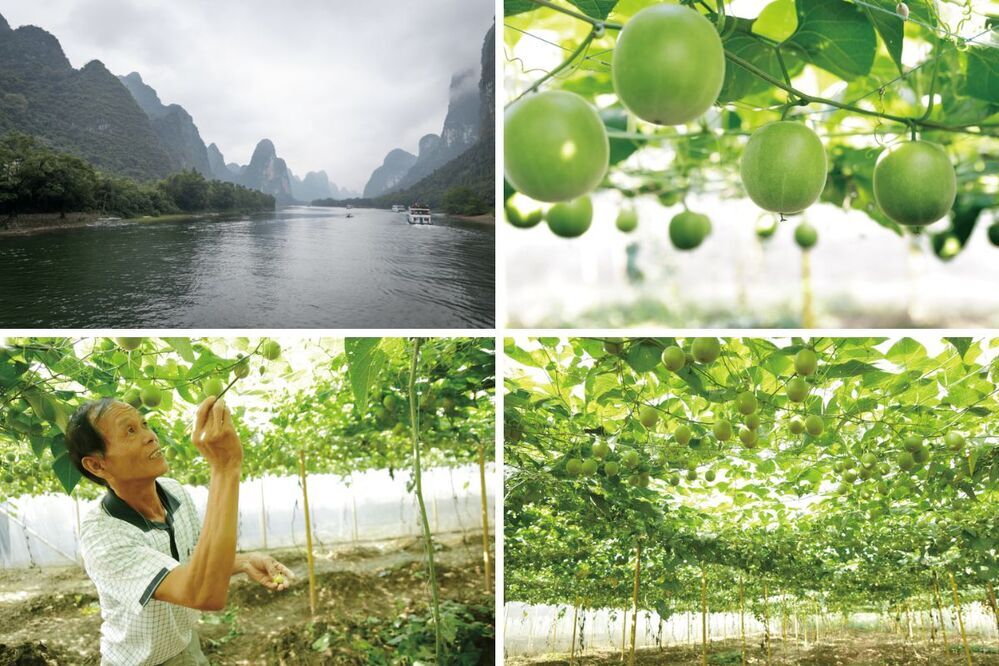 愛され続けて30年！ 植物由来の甘味料ブランド「ラカント」が、漫画原作30周年の「コジコジ」とコラボ【編集部の「これ、気になる！」  Vol.176】