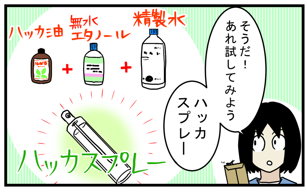 自分でも作れる！ 天然由来の害虫対策アイテム「ハッカスプレー」を使ってみたところ…!?【こどもと見つけた小さな発見日誌 Vol.83】