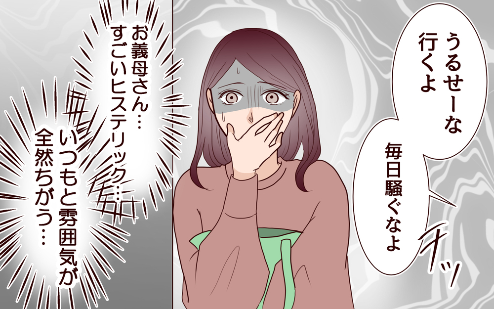 優しいはずの義母が暴言…!? でも私はここで引き下がるわけにはいかない＜本当の被害者は誰？ 13話＞【彼女たちの真実 まんが】