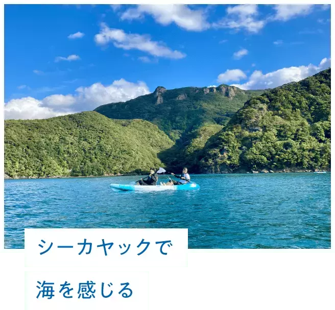 対馬の海の今を体感できる参加型スタディツアーにご招待！ 大人の修学旅行 in 対馬キャンペーン【編集部の「これ、気になる！」  Vol.195】