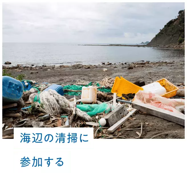 対馬の海の今を体感できる参加型スタディツアーにご招待！ 大人の修学旅行 in 対馬キャンペーン【編集部の「これ、気になる！」  Vol.195】