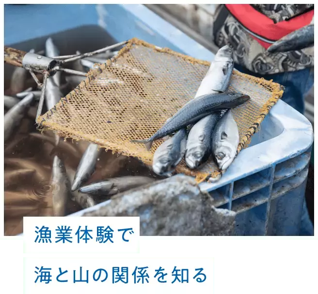 対馬の海の今を体感できる参加型スタディツアーにご招待！ 大人の修学旅行 in 対馬キャンペーン【編集部の「これ、気になる！」  Vol.195】