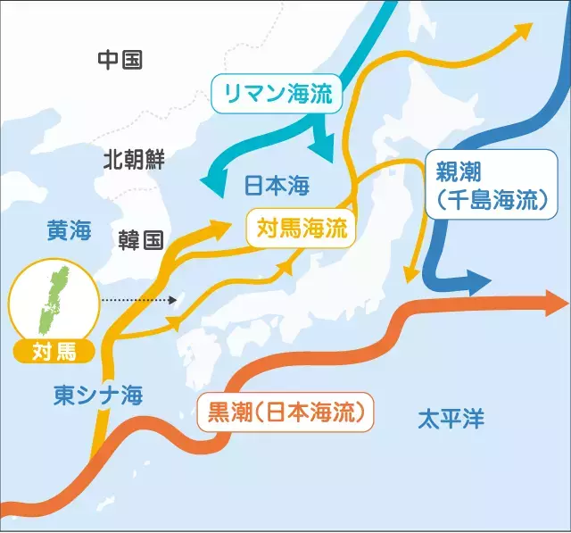 対馬の海の今を体感できる参加型スタディツアーにご招待！ 大人の修学旅行 in 対馬キャンペーン【編集部の「これ、気になる！」  Vol.195】