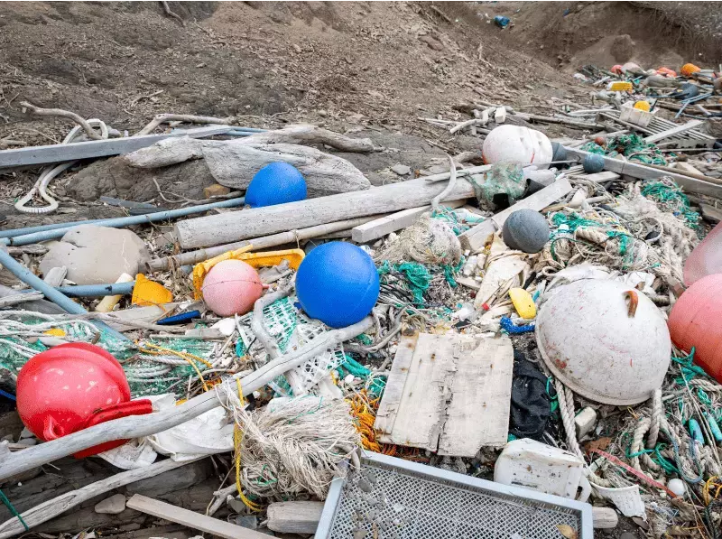 対馬の海の今を体感できる参加型スタディツアーにご招待！ 大人の修学旅行 in 対馬キャンペーン【編集部の「これ、気になる！」  Vol.195】