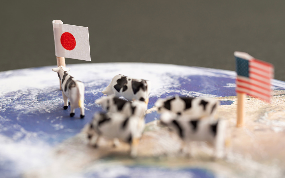 トランプ関税って何が起こってるの？ わかりやすく解説【細川珠生のここなら分かる政治のコト Vol.18】