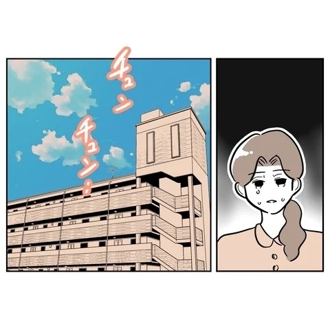 落ち込んでるところに追い打ち！　妻を悩ませる突然の訪問【義妹と妊活する夫の末路 Vol.12】